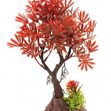 Фото1.Рослина,  8х19х26 см